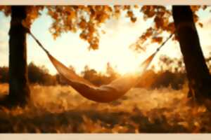 photo Bain de forêt