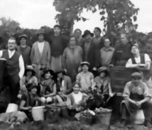 photo La Vie'stub de la Maison Jean Huttard