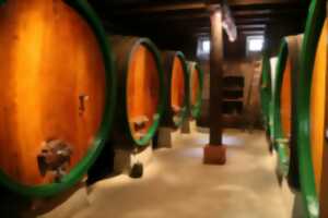 photo Afterwork : Haag Night