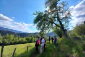 photo Visite guidée : le tour du Grand Rombach