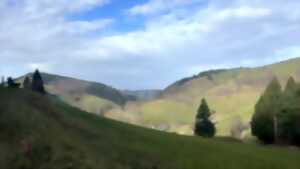 photo Club Vosgien : Schönau - Belchen (Forêt Noire)