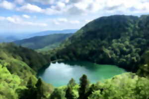 photo Club Vosgien : Les lacs des perches et de Neuweiher