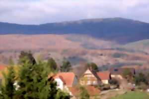 photo La route gourmande des guimbardes