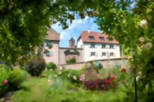 photo Atelier jardinage au naturel et changement climatique