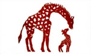 photo Bêtes de bibliothèque