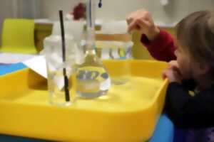 photo Perceptions : quand nos sens n'ont pas raison - Le Vaisseau