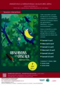 photo Exposition interactive : Observons les oiseaux !