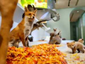 photo Visite famille pour les 7-12 ans - la grande vadrouille au Pavillon