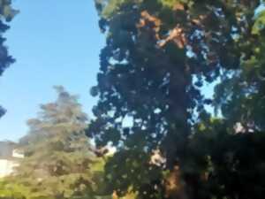 photo Sophro balade au Botanique