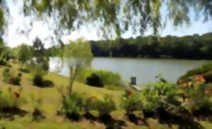 photo Parenthèse Zen - Sophrologie