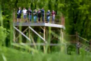 photo Evénement art et nature : Déployer la nuit