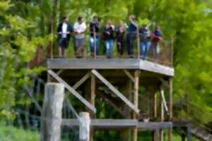 photo Sur les traces de nos voisins sauvages