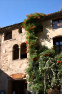 photo MILLE ANS D'HISTOIRE DANS L'UN DES PLUS BEAUX VILLAGES DE FRANCE
