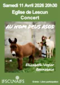 photo Concert d'Elizabet Vogler et Barnabeie