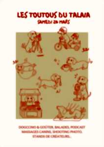 photo Les Toutous du Talaia