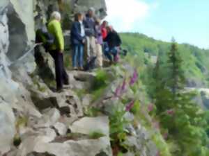 Club vosgien: Falimont - Sentier des Roches