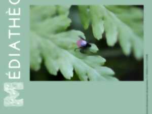 photo Rencontre : Prévention des piqûres de tiques