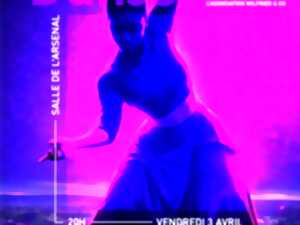 photo Spectacle - Nuit de la Danse