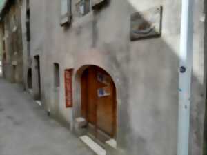 photo DIVINA PULCHRA