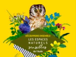 photo ENS - NOS PERCEPTIONS DANS LA NUIT