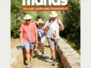 photo BALADE VIGNERONNE ET GASTRONOMIQUE - LES PAS GOURMANDS