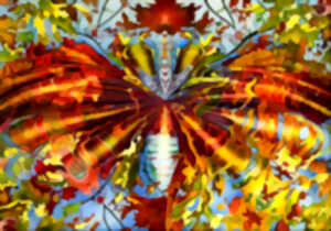 photo Exposition de l'artiste Christine Mourgues