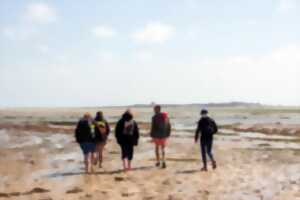 photo Traversée à pied et visite commentée de l'île Tatihou