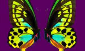 photo Le Grand Bain : Été 2026