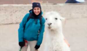 photo Bolivie, 40 jours d’aventures