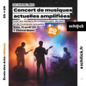 photo Concert de musiques actuelles amplifiées