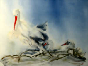 photo Exposition - Aqua & Oracles