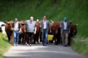 photo Transhumance vers le Gsang