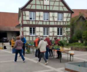 photo Troc aux plantes