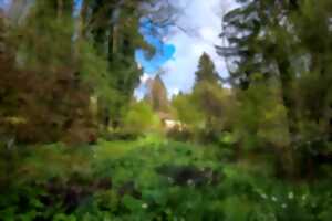 photo Visite guidée au Jardin de Niargoutte