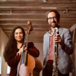 photo Festival International de Colmar - Étonnant Duo Gambelin ! - Lucile Boulanger & Christian Elin