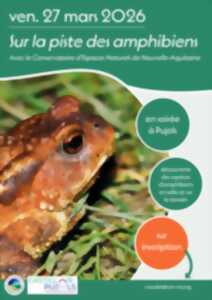 photo Sur la pistes des amphibiens
