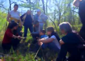 photo Balade guidée : 