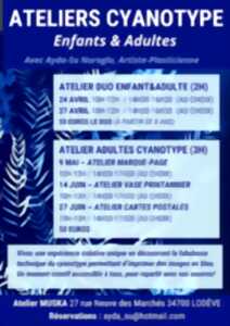 photo ATELIERS CYANOTYPE ADULTES