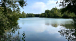 photo Découverte des plans d’eau avec l’association Les Corbeaux Gâtinais Nature