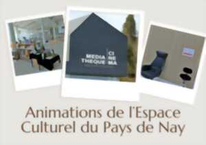 photo Balade muséale « Muséum d'Orléans pour la Biodiversité et l'Environnement »