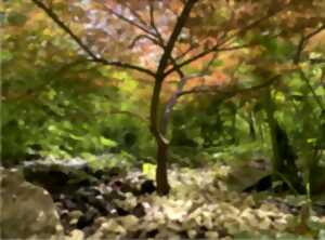 photo Visite des lilliputiens, une question de point de vue - Rendez-vous aux jardins