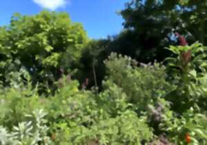 photo Les plantes au-delà du regard, la visite guidée - Rendez-vous aux jardins
