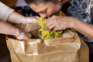 photo Découvrez les bienfaits des plantes sauvages - Avril