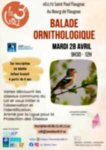 photo Balade ornithologique au 3ème Lieu