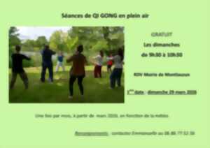 photo Qi gong en plein air