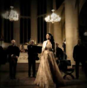 photo Concert - Violons de Prague