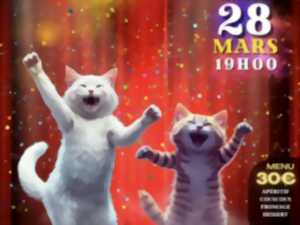 photo Dîner spectacle