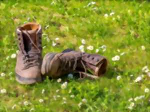 photo La marche gourmande