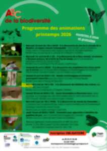 photo ABC de la biodiversité : apprendre à identifier les papillons de jour