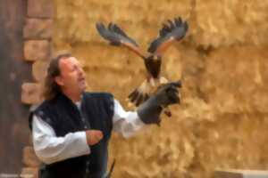 photo Spectacle Médiéval